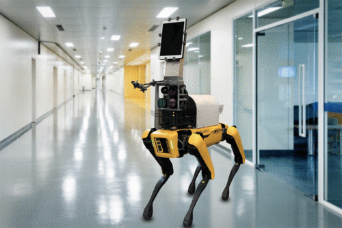 Robô mede temperatura e sinais vitais de pacientes